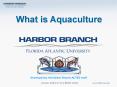 What is Aquaculture PowerPoint PPT Presentation