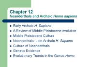 Chapter 12  Neanderthals and Archaic Homo sapiens