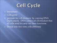 Cell Cycle