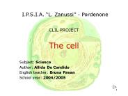 The cell