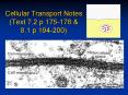 Cellular Transport Notes (Text 7.2 p 175-178 PowerPoint PPT Presentation