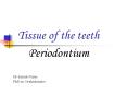Tissue of the teeth PowerPoint PPT Presentation