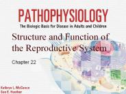 Structure and Function of the Reproductive System