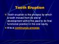 Tooth Eruption PowerPoint PPT Presentation