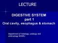 DIGESTIVE SYSTEM  part 1 Oral cavity, esophagus PowerPoint PPT Presentation