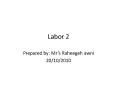 Labor 2 PowerPoint PPT Presentation