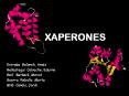 XAPERONES PowerPoint PPT Presentation