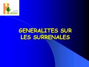GENERALITES SUR LES SURRENALES