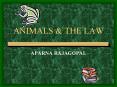 ANIMALS PowerPoint PPT Presentation