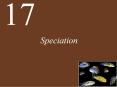 Speciation PowerPoint PPT Presentation