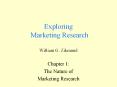 Exploring Marketing Research William G. Zikmund PowerPoint PPT Presentation