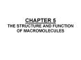 CHAPTER 5 THE STRUCTURE AND FUNCTION OF MACROMOLECULES PowerPoint PPT Presentation