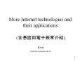 More Internet technologies and their applications PowerPoint PPT Presentation