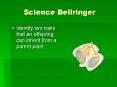 Science Bellringer PowerPoint PPT Presentation