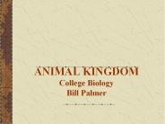 ANIMAL KINGDOM College Biology Bill Palmer