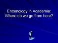 Entomology in Academia: Where do we go from here? PowerPoint PPT Presentation