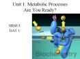 Unit 1: Metabolic Processes Are You Ready? PowerPoint PPT Presentation