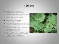 Greens PowerPoint PPT Presentation