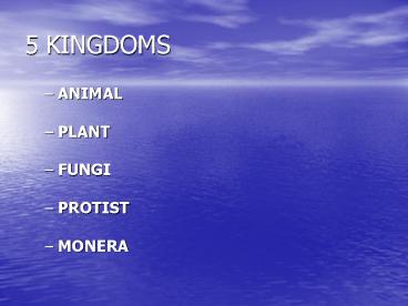 5 KINGDOMS