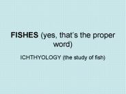 FISHES (yes, that
