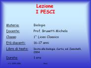 Lezione