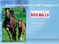 Broodmare Nutrition Late Pregnancy PowerPoint PPT Presentation