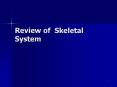 Review of Skeletal System PowerPoint PPT Presentation