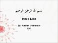 Head Lice PowerPoint PPT Presentation
