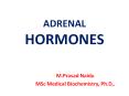 Adrenal Hormones PowerPoint PPT Presentation