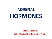 Adrenal Hormones