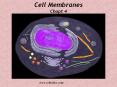 Cell Membranes Chapt 4 PowerPoint PPT Presentation