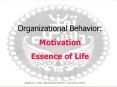 Organizational Behavior: PowerPoint PPT Presentation