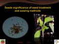 Seeds significance of seed treatment and sowing methods PowerPoint PPT Presentation