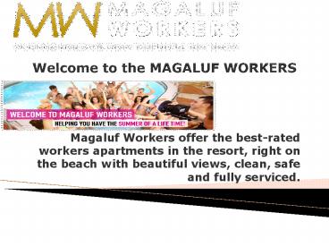 work in magaluf