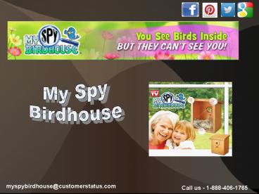 An Guide to Buying Birdhouses