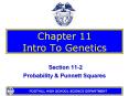 Chapter 11 Intro To Genetics PowerPoint PPT Presentation