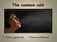 The common cold PowerPoint PPT Presentation