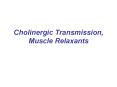 Cholinergic Transmission, Muscle Relaxants PowerPoint PPT Presentation