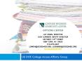 US DOE College Access Affinity Group PowerPoint PPT Presentation