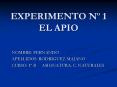 EXPERIMENTO N PowerPoint PPT Presentation