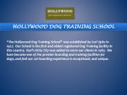 Puppy Training Simi Valley
