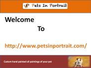 Cat portraits
