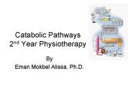 Catabolic Pathways 2nd Year Physiotherapy
