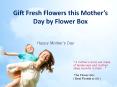 Gift fresh flowers this mother’s day by flower PowerPoint PPT Presentation
