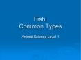 Fish! Common Types PowerPoint PPT Presentation