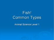 Fish! Common Types