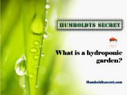 What is a hydroponic garden?