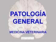 PATOLOG
