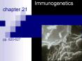 Immunogenetics chapter 21   pp. 620-627 PowerPoint PPT Presentation