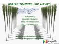 online training for sap apo PowerPoint PPT Presentation